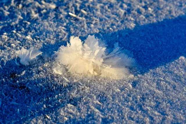 《雪绒花》这首歌曲时,眼前似乎很容易就能浮现出奥地利及阿尔卑斯山